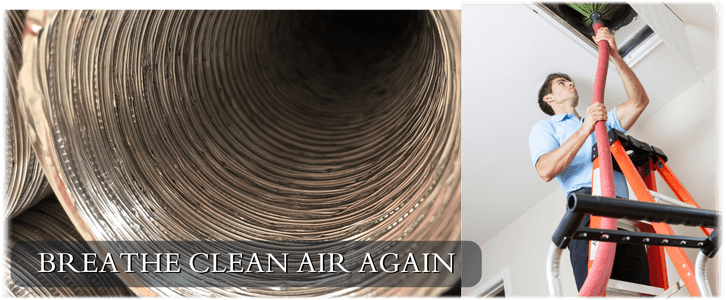 Air Duct Mold Removal in Houston